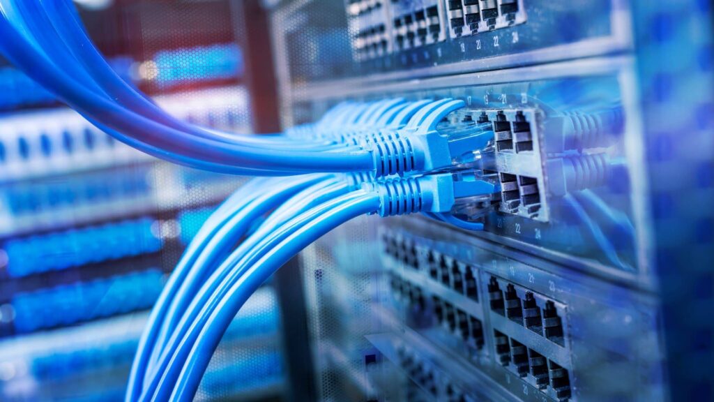 A close-up of blue ethernet network cables plugged into the ports of a large commercial data switch in a server rack.